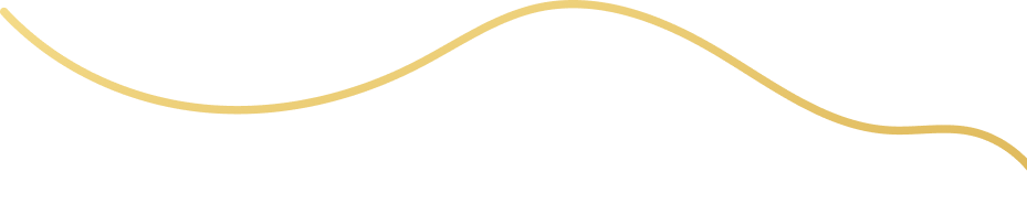 Decorative Wavy Line 2
